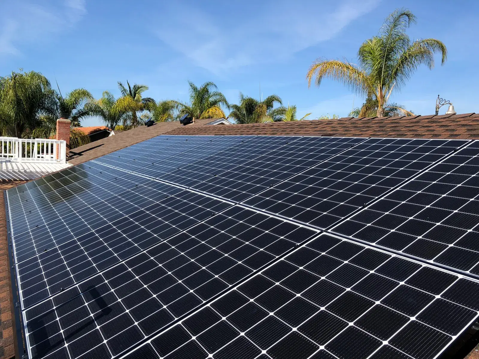 Rooftop solar panel array with palm trees and a bright blue sky in the background.