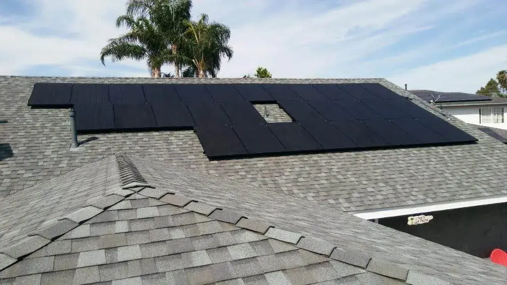 Rooftop view of a black solar panel array on a gray composition-shingle roof with palm trees in the background.