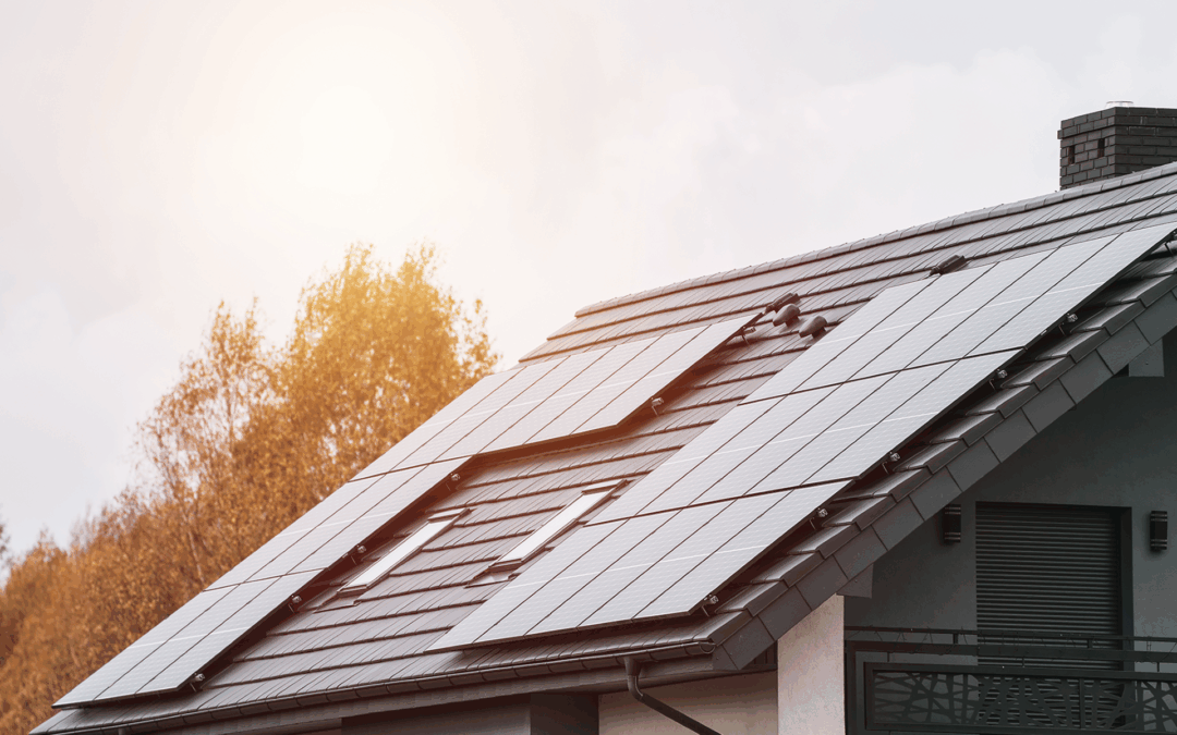 Why Fall Is the Best Time to Go Solar